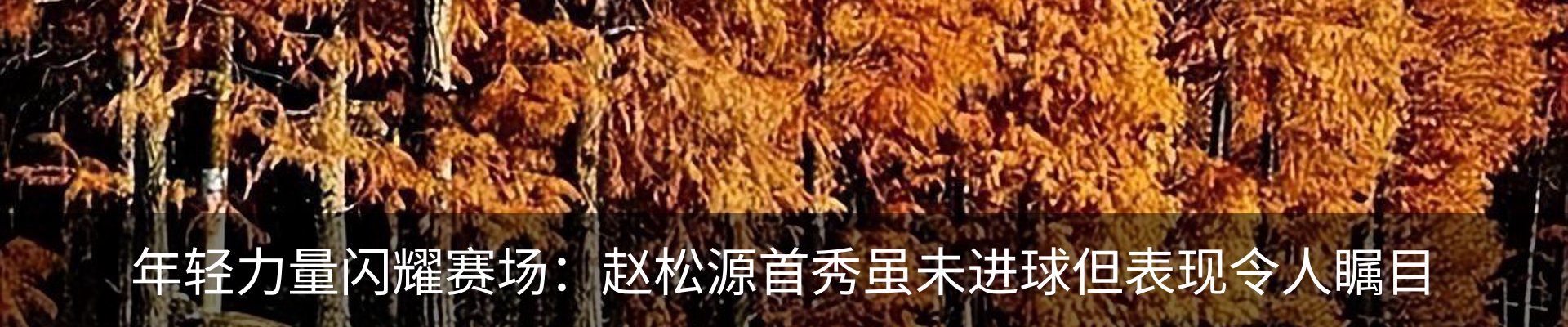 新闻中心